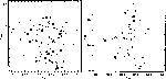 \begin{figure}
\par\includegraphics[width=13.2cm,clip]{fig7.eps} \end{figure}