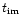$t_{\rm im}$