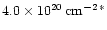 \( 4.0\times 10^{20}\, {\rm cm^{-2\, *}} \)