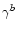 $\gamma^{b}$