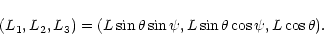 \begin{displaymath}(L_1,L_2,L_3)=(L\sin\theta\sin\psi,L\sin\theta\cos\psi,L\cos\theta).
\end{displaymath}