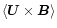 $\langle\vec{U}\times\vec{B}\rangle$