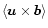 $\langle\vec{u}\times\vec{b}\rangle$