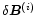 $\delta \vec{B}^{(i)}$