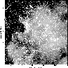 \begin{figure}
\par\includegraphics[width=7.7cm,clip]{MS1235F5.eps}
\end{figure}
