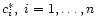 $c_i^{\ast}, \; i=1, \ldots, n$