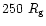 $250~R_{\rm g}$