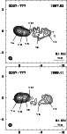 \begin{figure}
\par\includegraphics[width=8.8cm,clip]{ros_fig16a.eps}\par\includegraphics[width=8.8cm,clip]{ros_fig16b.eps}\par\end{figure}