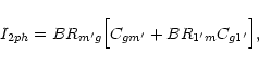 \begin{displaymath}%
I_{2ph} = BR_{m^{\prime}g} \Bigl[ C_{gm^{\prime}} + BR_{1^{\prime}m} C_{g1^{\prime}}\Bigr],
\end{displaymath}