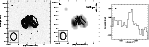 \begin{figure}
\par\includegraphics[angle=-90,width=17.15cm,clip]{ms1448f5.ps}\end{figure}