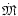 $\dot{\mbox{\eufont M}}$