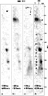 \begin{figure}
\par\epsfxsize=8.6cm
\epsfbox{MS1608f2.eps}
\end{figure}