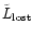 $\tilde{L}_{\rm lost}$