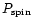 $P_{{\rm spin}}$