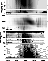 \begin{figure}\par\includegraphics[width=8.8cm,clip]{ms1241f2_corr.eps}\end{figure}