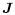 $\displaystyle \vec J$