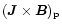 $(\vec J \times \vec B)_{\rm p}$