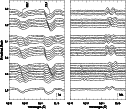\begin{figure}
\resizebox{11cm}{!}{\rotatebox{0}{\includegraphics{Dg193_f3.eps}}}\hfill
\parbox[b]{55mm}{
}
\end{figure}