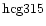 ${\rm hcg315 }$