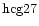 ${\rm hcg27 }$