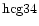 ${\rm hcg34 }$