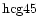 ${\rm hcg45 }$