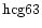 ${\rm hcg63 }$