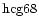 ${\rm hcg68 }$