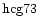 ${\rm hcg73 }$