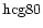 ${\rm hcg80 }$
