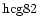 ${\rm hcg82 }$