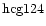 ${\rm hcg124 }$