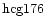 ${\rm hcg176 }$