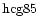 ${\rm hcg85 }$