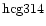 ${\rm hcg314 }$