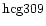 ${\rm hcg309 }$