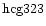 ${\rm hcg323 }$