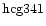 ${\rm hcg341 }$