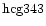 ${\rm hcg343 }$