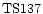 ${\rm TS137 }$