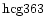 ${\rm hcg363 }$