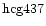 ${\rm hcg437 }$