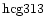 ${\rm hcg313 }$