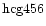 ${\rm hcg456 }$