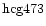 ${\rm hcg473 }$