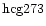 ${\rm hcg273 }$