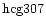 ${\rm hcg307 }$