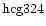 ${\rm hcg324 }$