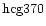 ${\rm hcg370 }$