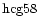 ${\rm hcg58 }$
